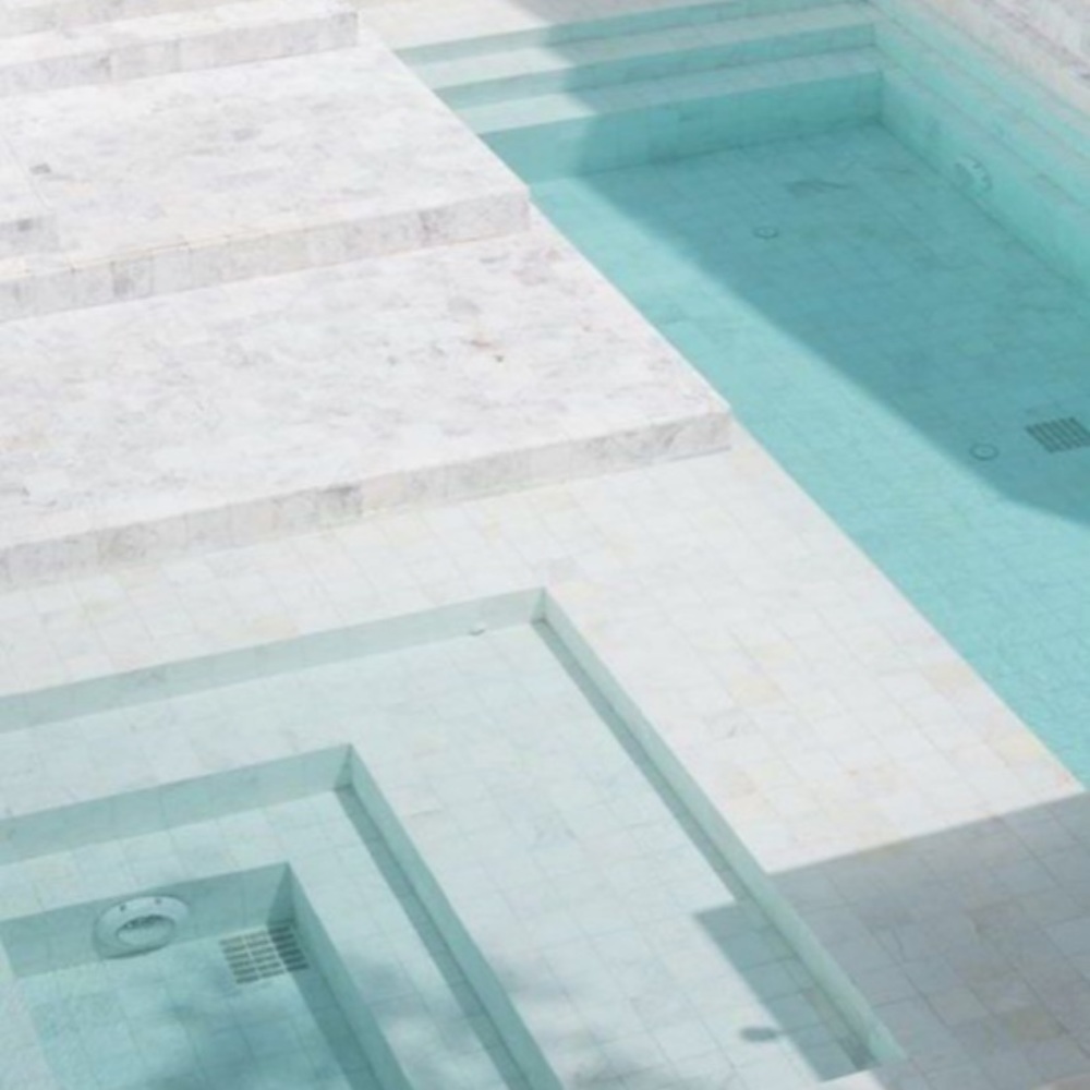 Meet your Posher, Shanae